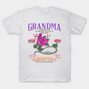 Grandma Inc Services Include Babysitting Funny Mothers Day Novelty Gift T-Shirt